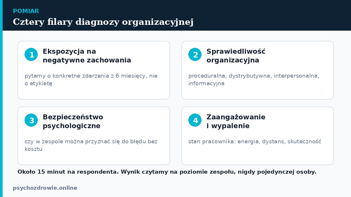 Diagnoza organizacyjna opiera sie na ekspozycji na negatywne zachowania, sprawiedliwosci organizacyjnej, bezpieczenstwie psychologicznym oraz zaangazowaniu i wypaleniu